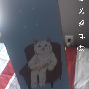 Ripndip skateboard 8.0